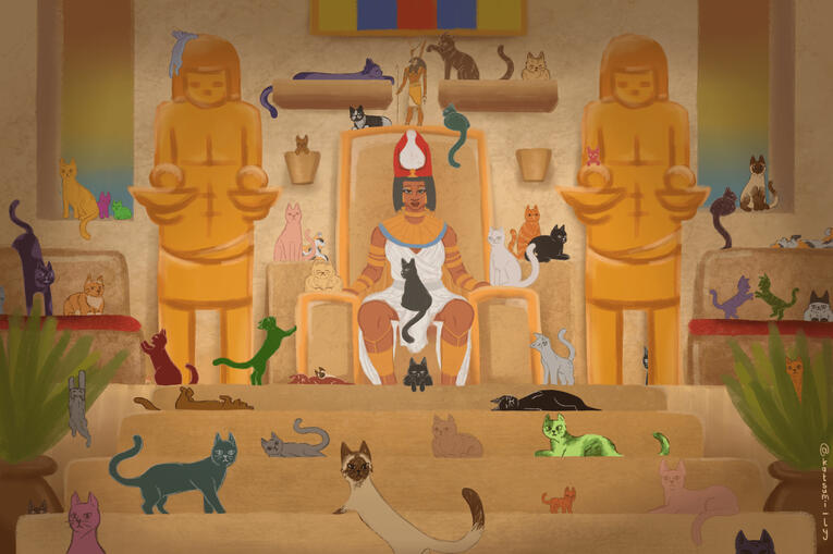 Faradisa com gatos